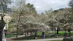 Stockholm (223)